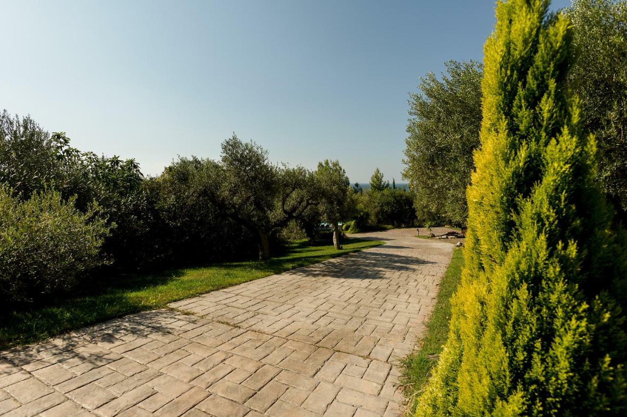 Olivia Estate Villa With Private Swimming Pool Elia Nikitis Dış mekan fotoğraf